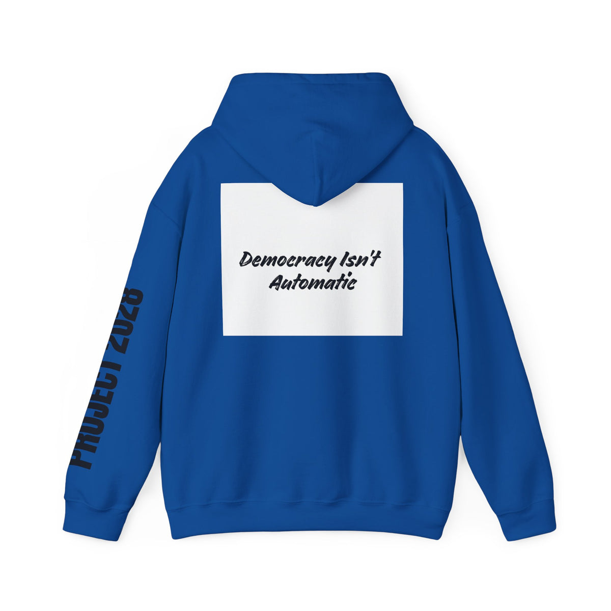 Protect Democracy Project 2028 Hoodie | Social Awareness