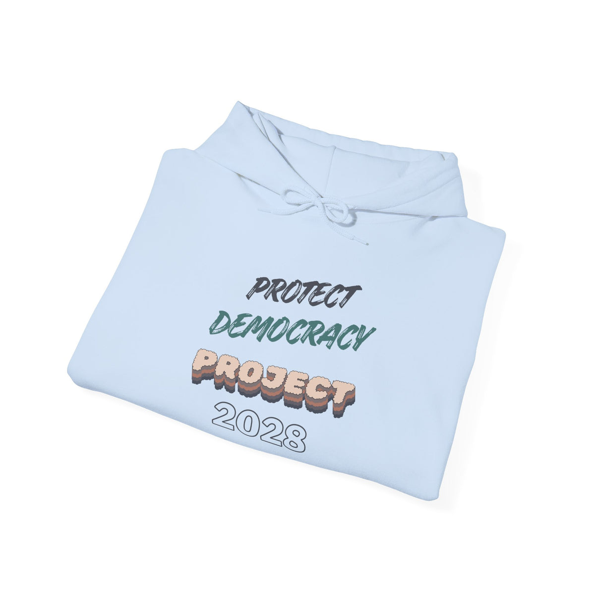 Project 2028 Hoodie | Protect Democracy graphic hoodie