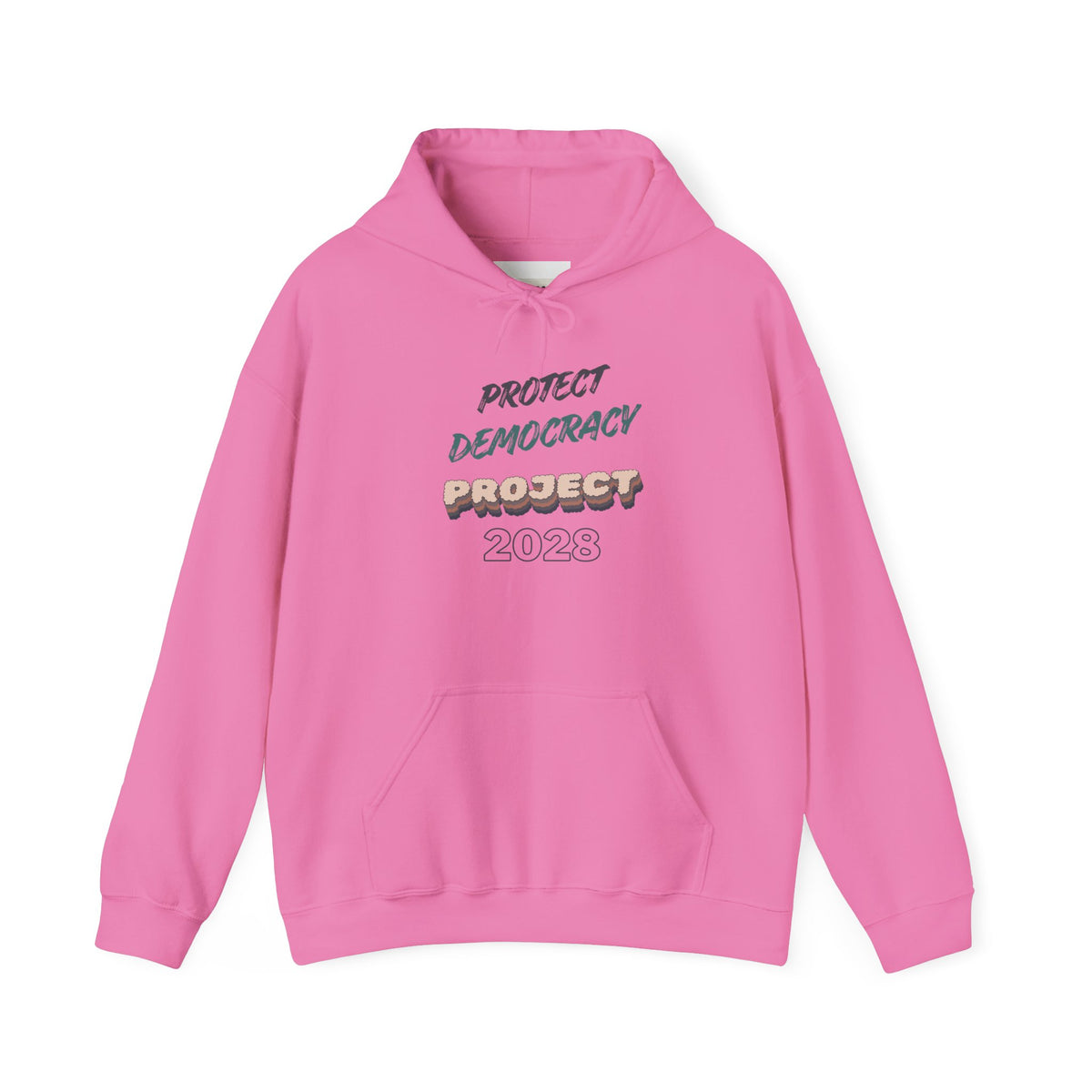 Project 2028 Hoodie | Protect Democracy graphic hoodie
