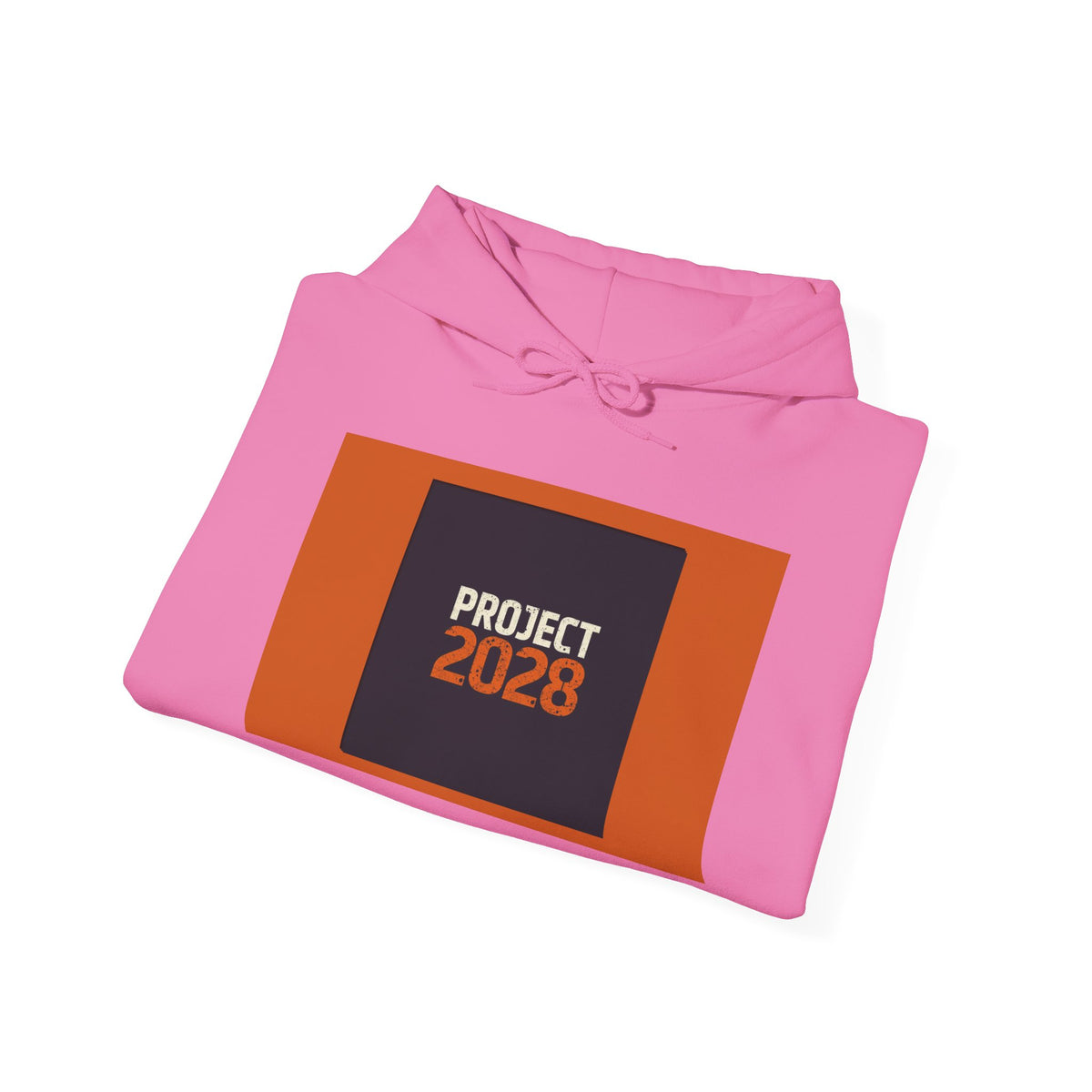 Project 2108 Graphic Hoodie | Democracy Isn't Automatic Back Print