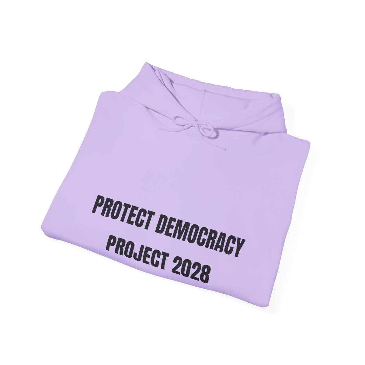 Protect Democracy Project 2028 Hoodie | democracy text design