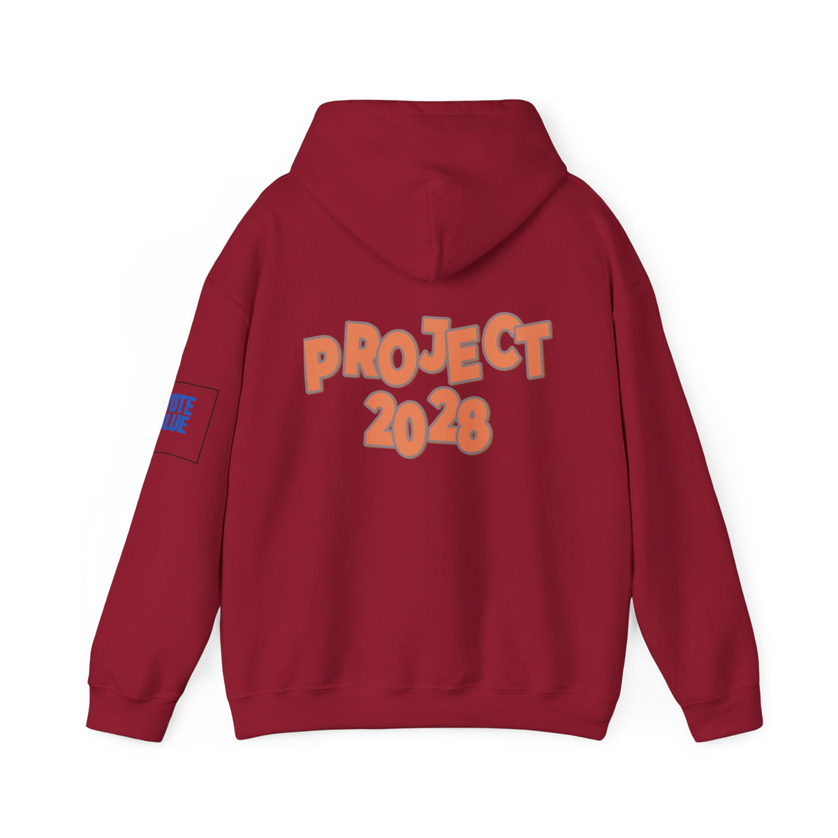 Protect Democracy Project 2028 Hoodie | Social Awareness
