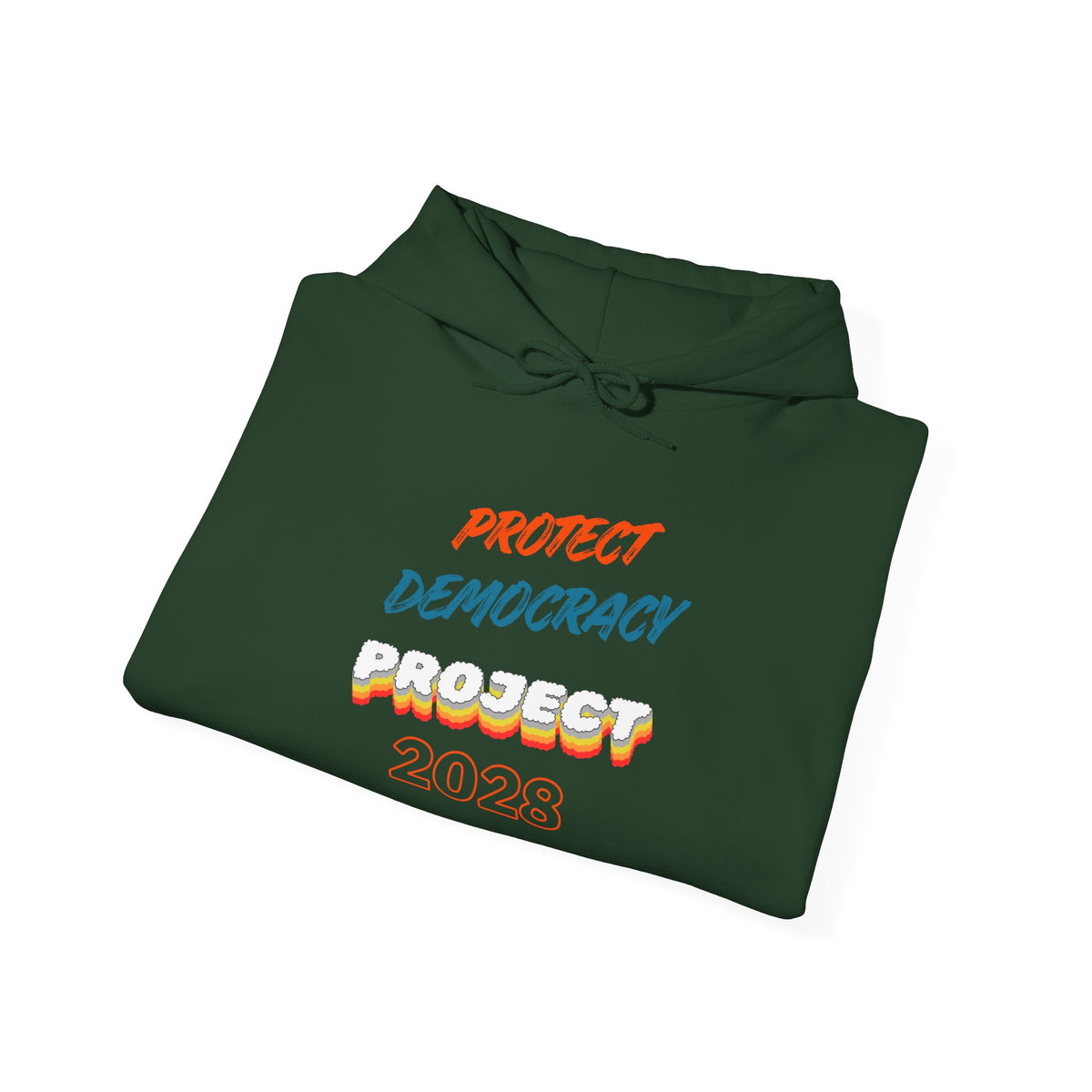 Protect Democracy Project 2028 Hoodie | Social Awareness