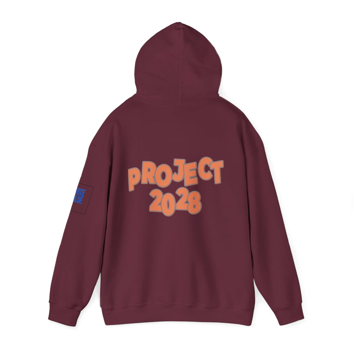 Protect Democracy Project 2028 Hoodie | Social Awareness
