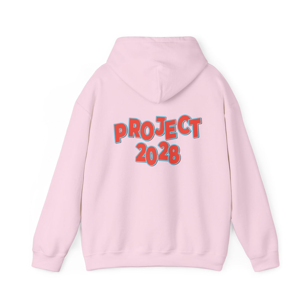 Action Project 2028 Hoodie | Democracy Movement Sweatshirt