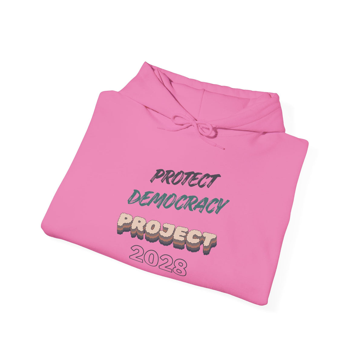 Project 2028 Hoodie | Protect Democracy graphic hoodie