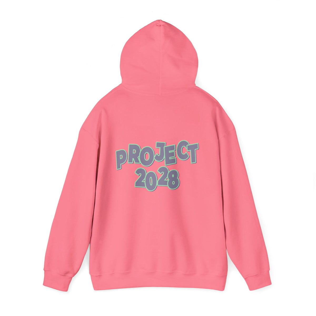 Project 2028 Hoodie | Protect Democracy graphic hoodie