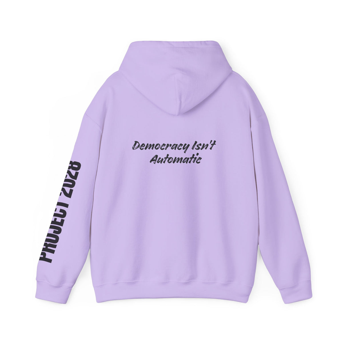 Protect Democracy Project 2028 Hoodie | Social Awareness
