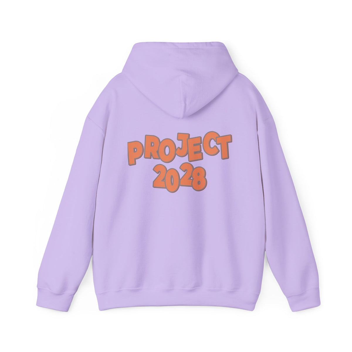 Protect Democracy Project 2028 Hoodie | Social Awareness