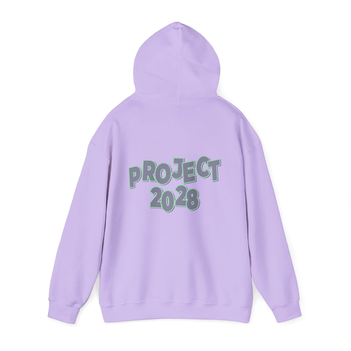 Project 2028 Hoodie | Protect Democracy graphic hoodie