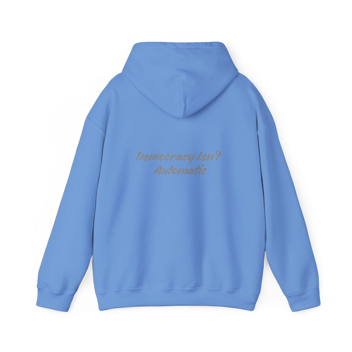 Project 2028 hoodie | Democracy Isn't Automatic back print