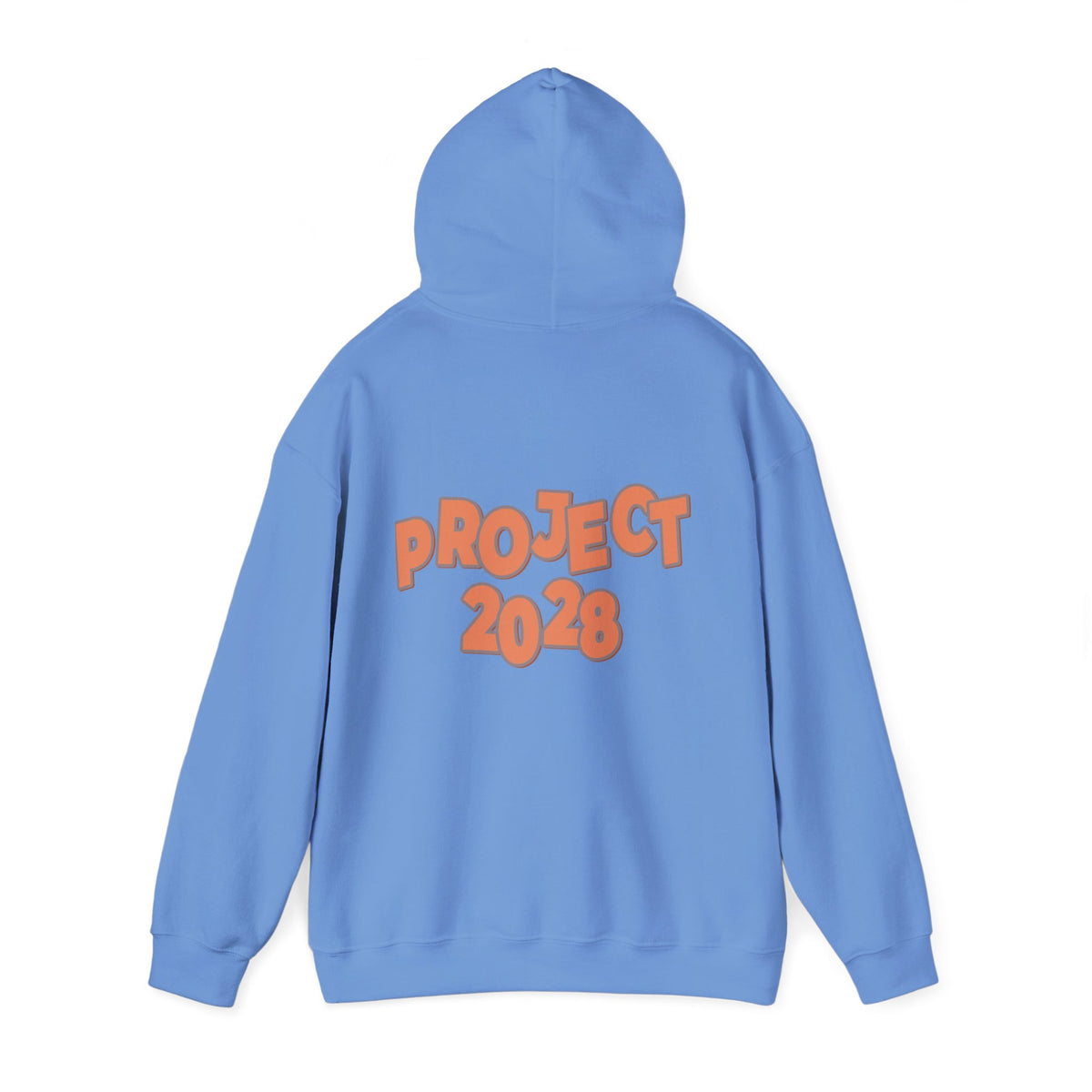 Protect Democracy Project 2028 Hoodie | Social Awareness