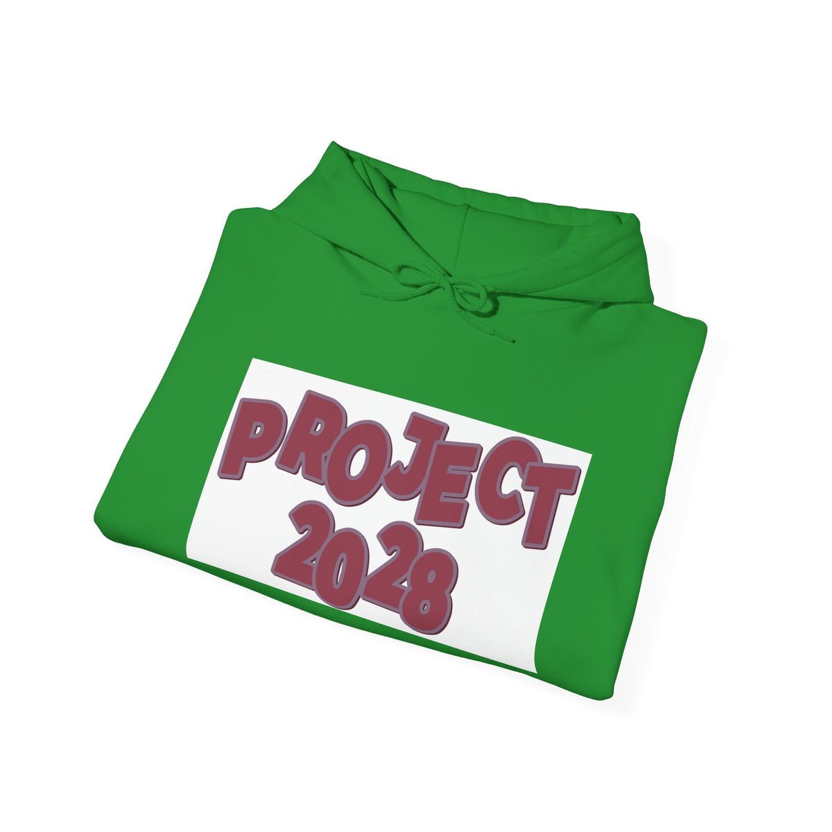 Project 2028 hoodie | Democracy Isn't Automatic back print