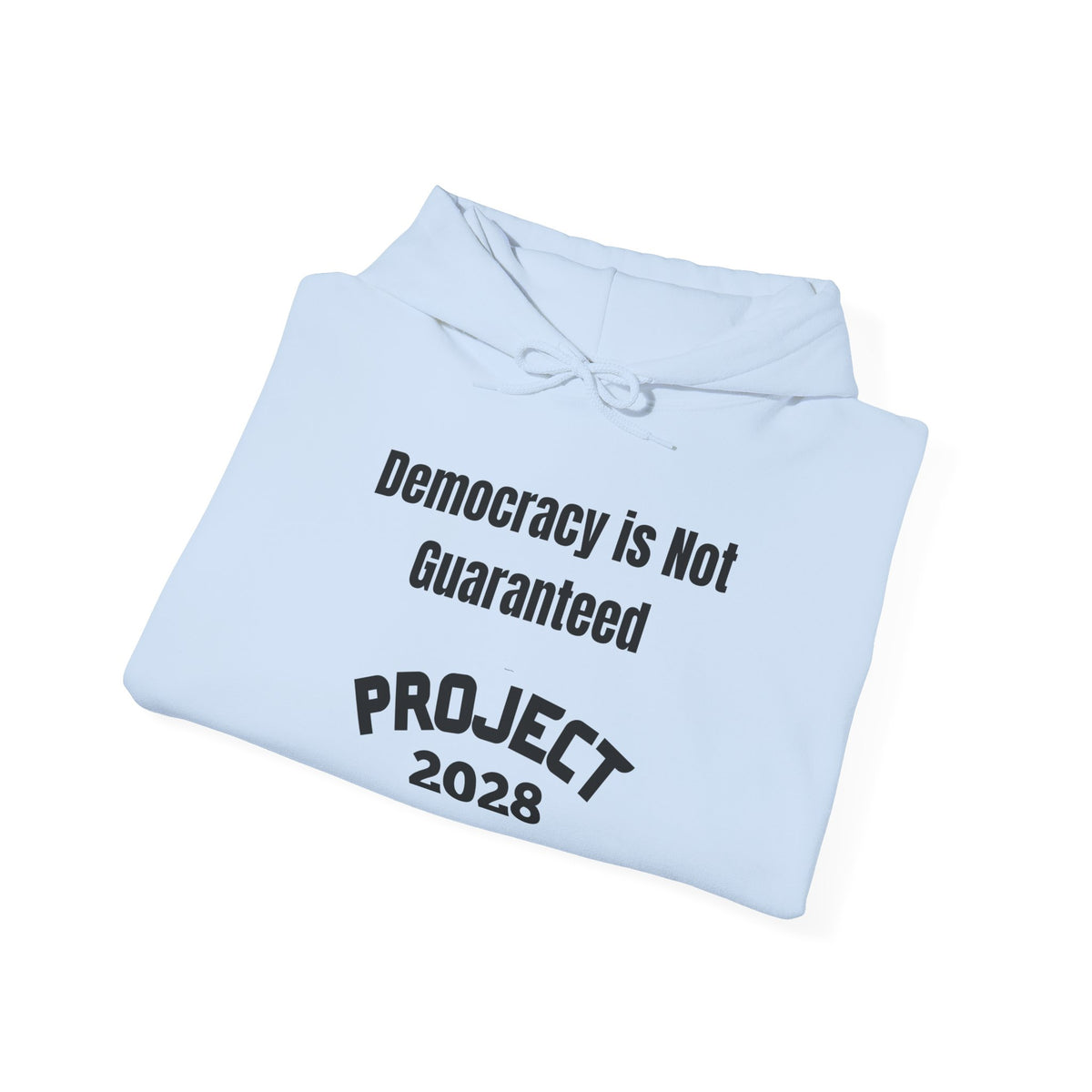 Copy of Project 2028 hoodie | Democracy | Social Awareness
