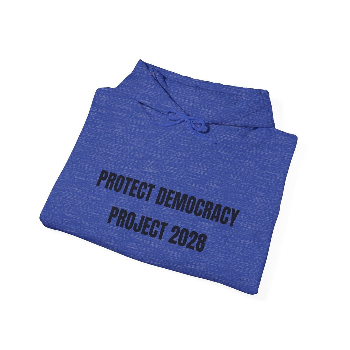 Protect Democracy Project 2028 Hoodie | Social Awareness