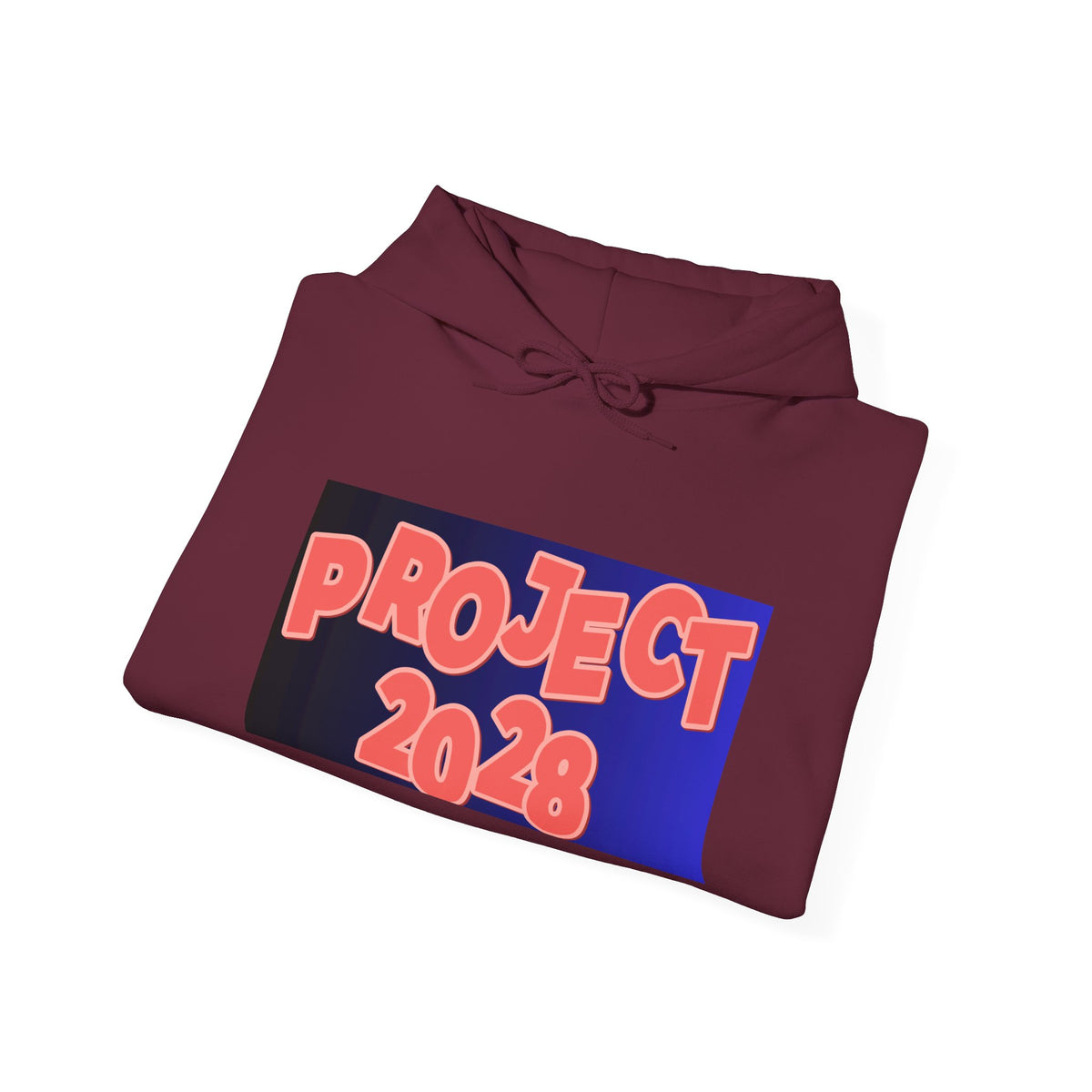 Project 2028 Hoodie | Social Justice