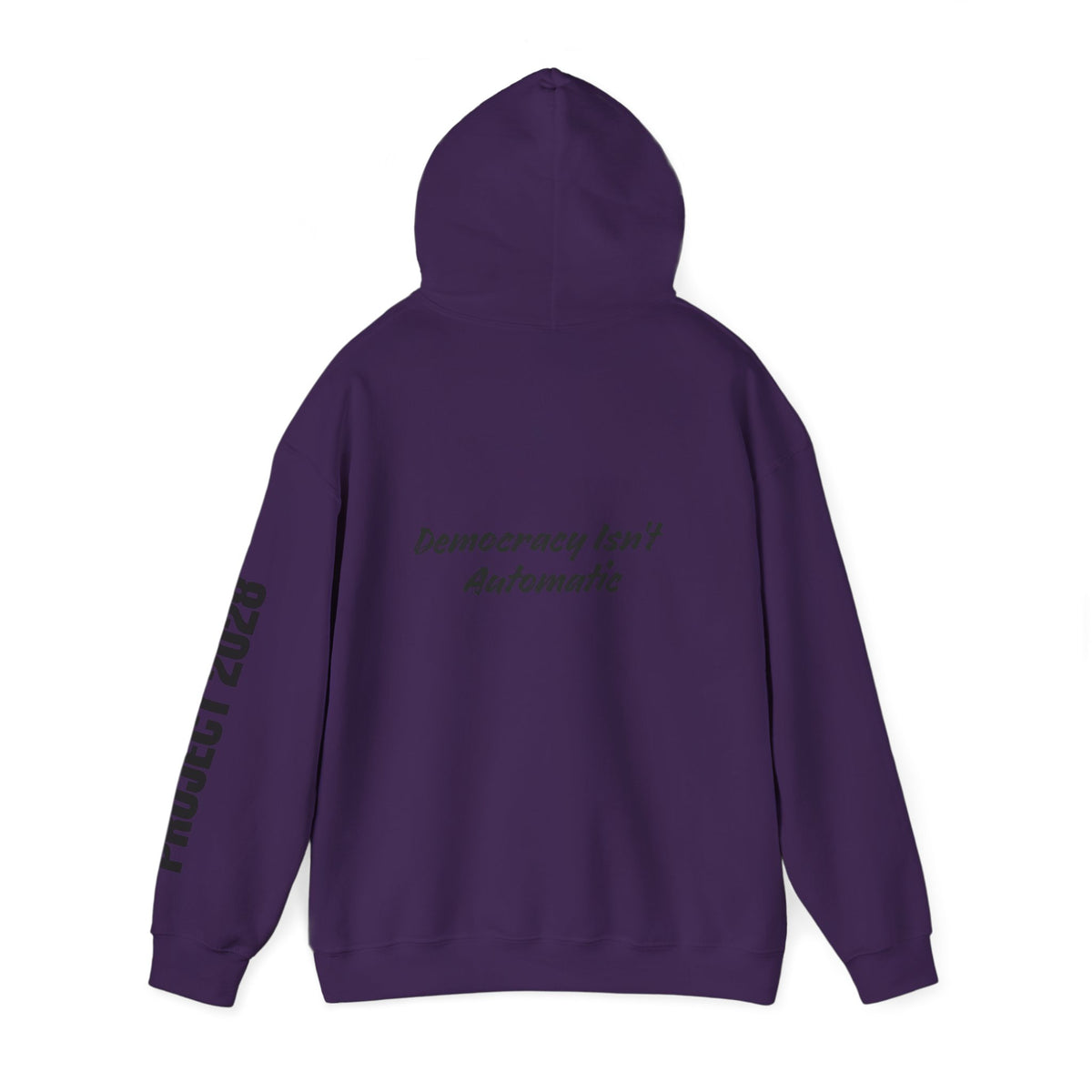 Protect Democracy Project 2028 Hoodie | Social Awareness