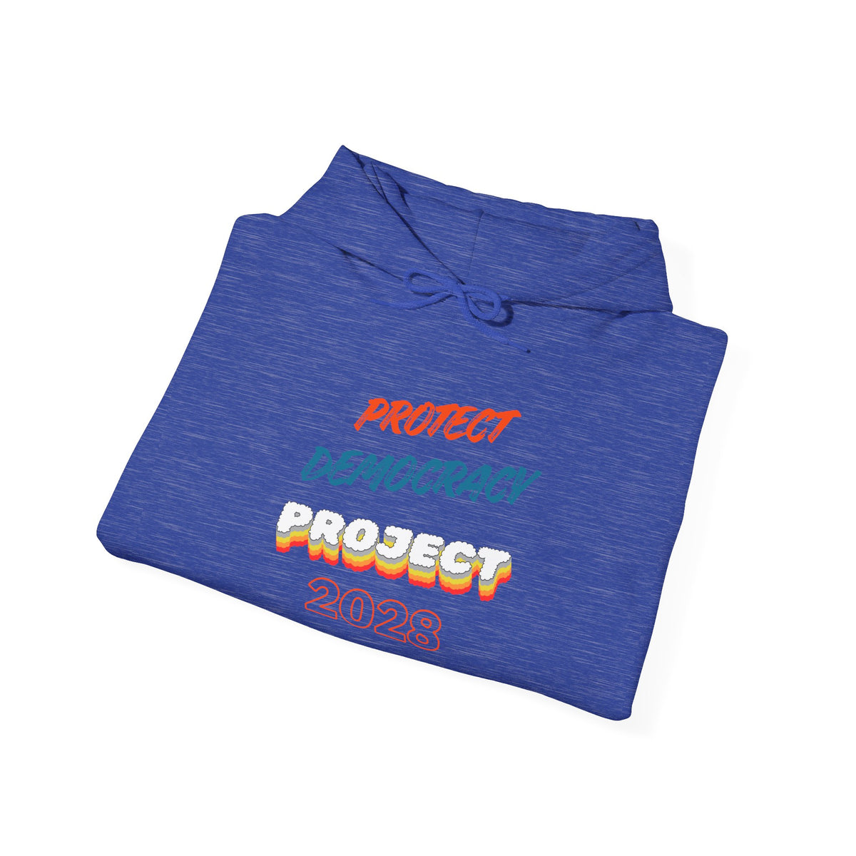 Protect Democracy Project 2028 Hoodie | Social Awareness