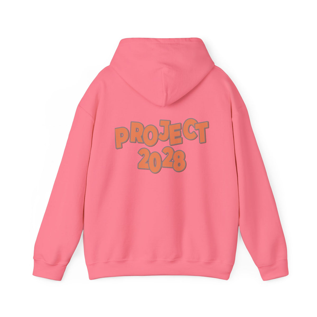 Protect Democracy Project 2028 Hoodie | Social Awareness