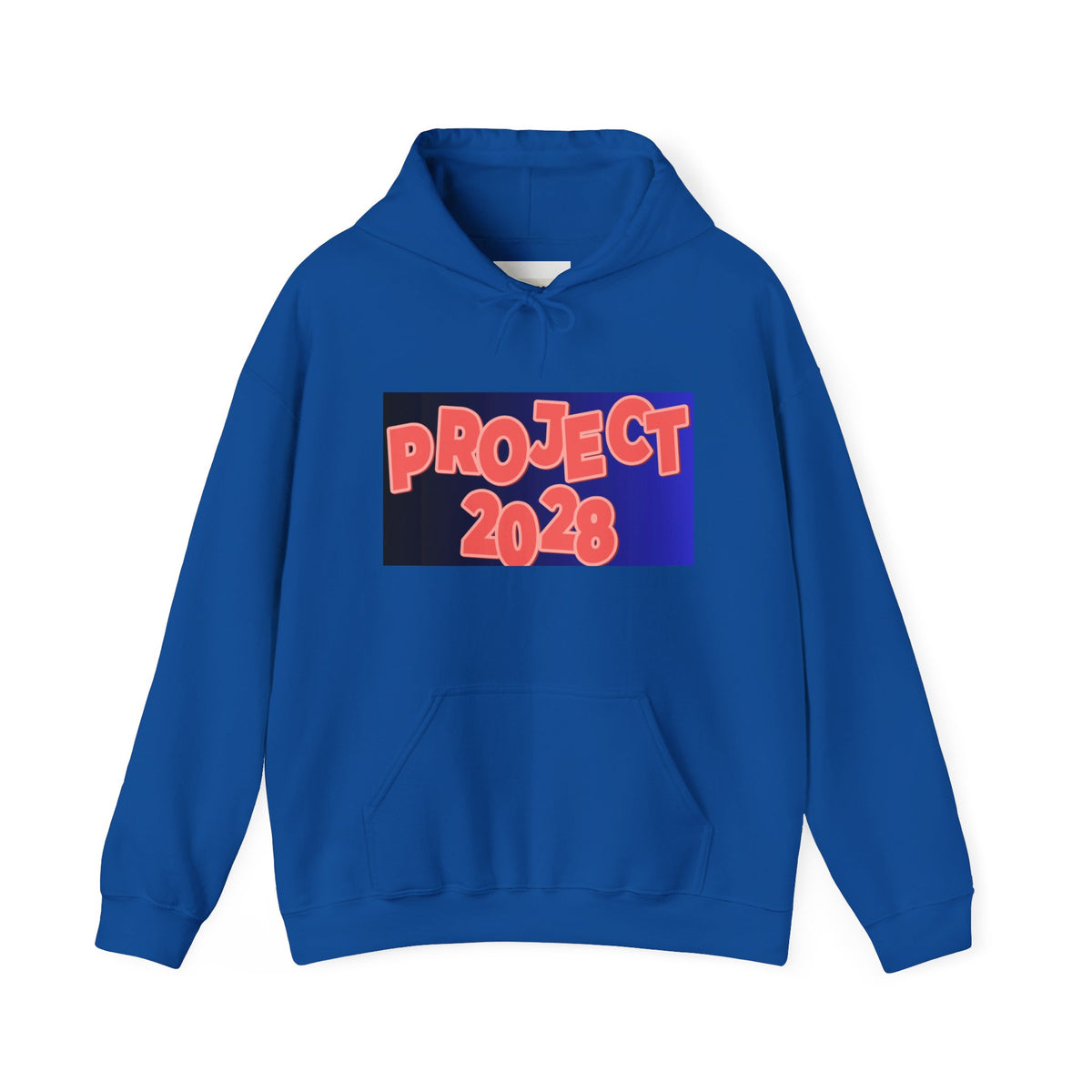 Project 2028 Hoodie | Social Justice