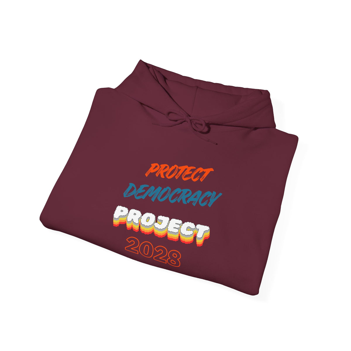 Protect Democracy Project 2028 Hoodie | Social Awareness