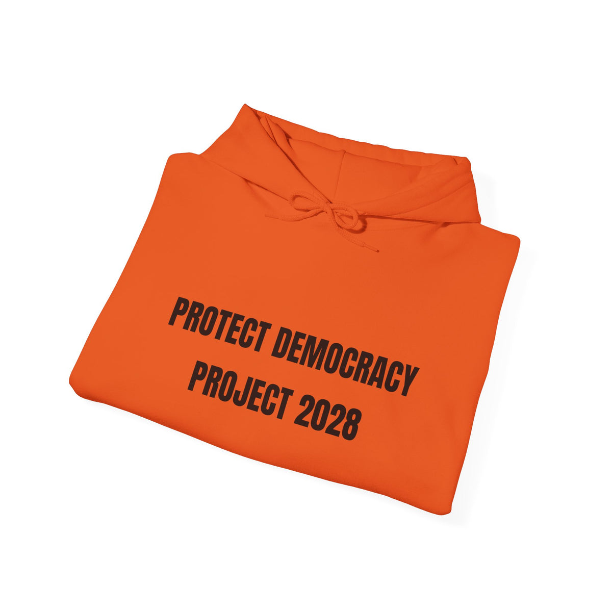 Protect Democracy Project 2028 Hoodie | Social Awareness