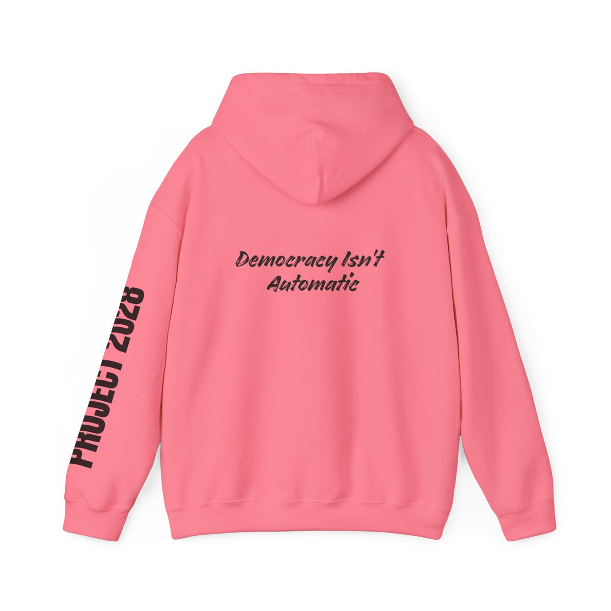 Protect Democracy Project 2028 Hoodie | Social Awareness