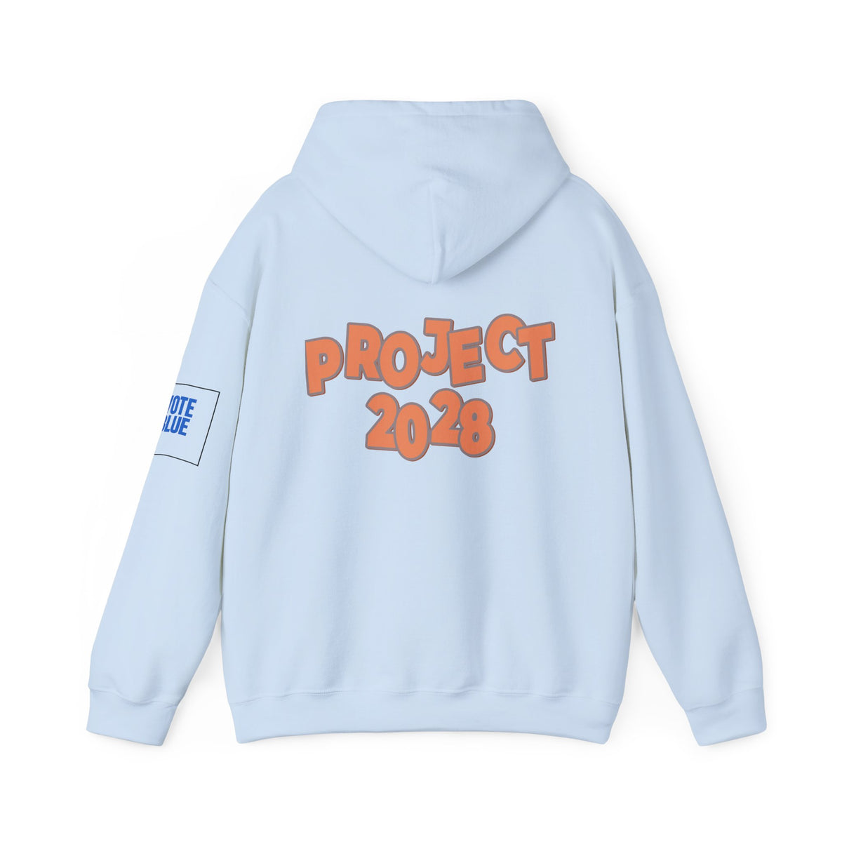 Protect Democracy Project 2028 Hoodie | Social Awareness