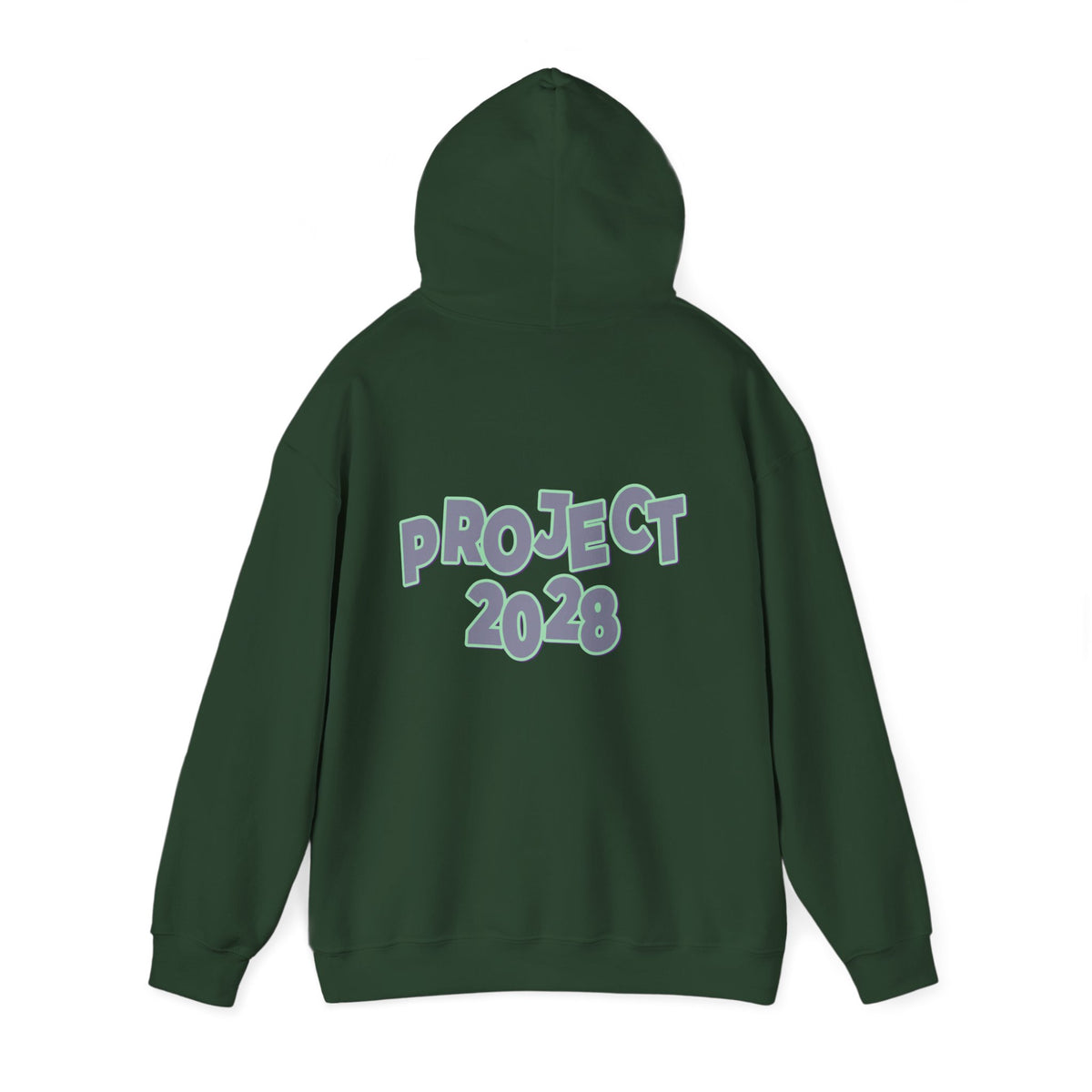 Project 2028 Hoodie | Protect Democracy graphic hoodie