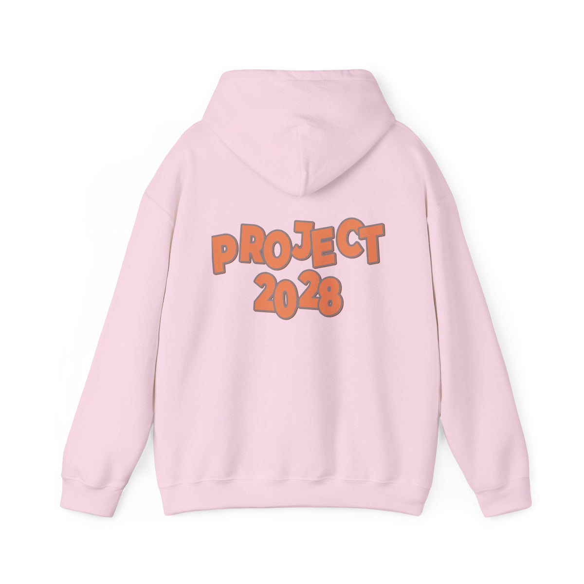 Protect Democracy Project 2028 Hoodie | Social Awareness