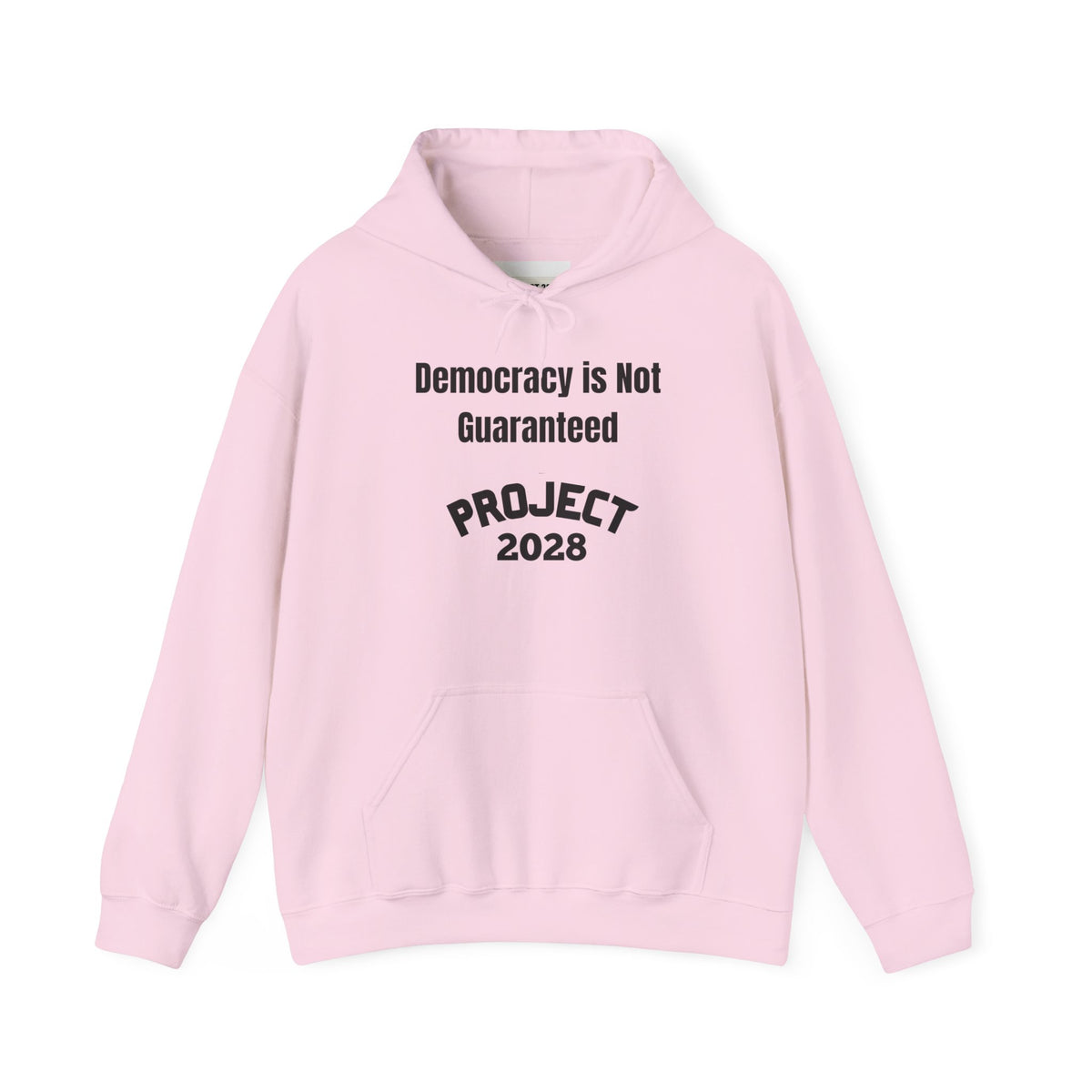 Project 2028 hoodie | Democracy | Social Awareness