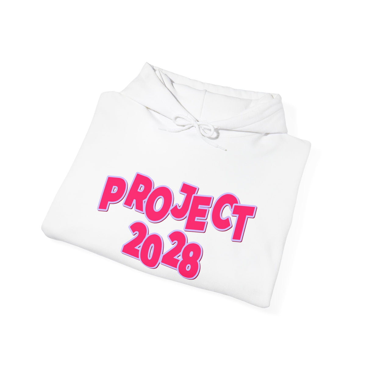 Project 2028 Hoodie | Social Awareness