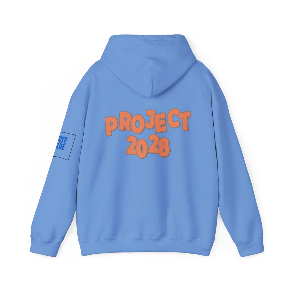 Protect Democracy Project 2028 Hoodie | Social Awareness