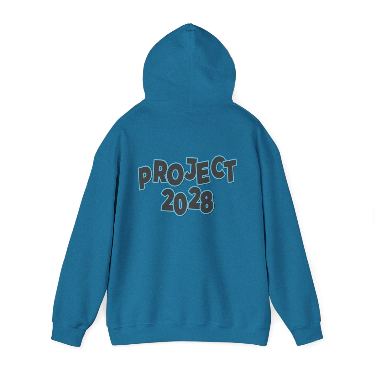 Project 2028 Hoodie | Protect Democracy, Project 2028 design