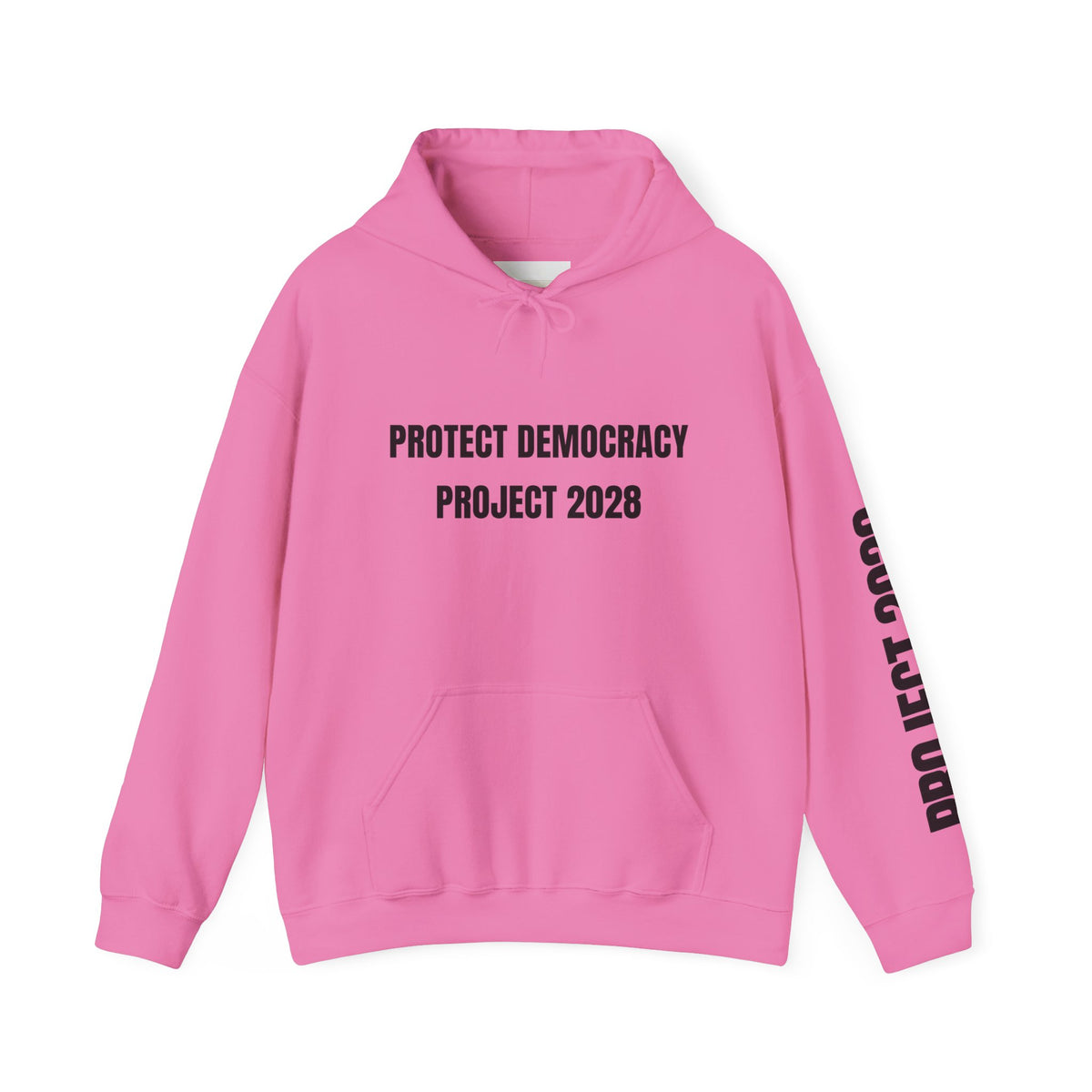 Protect Democracy Project 2028 Hoodie | Social Awareness