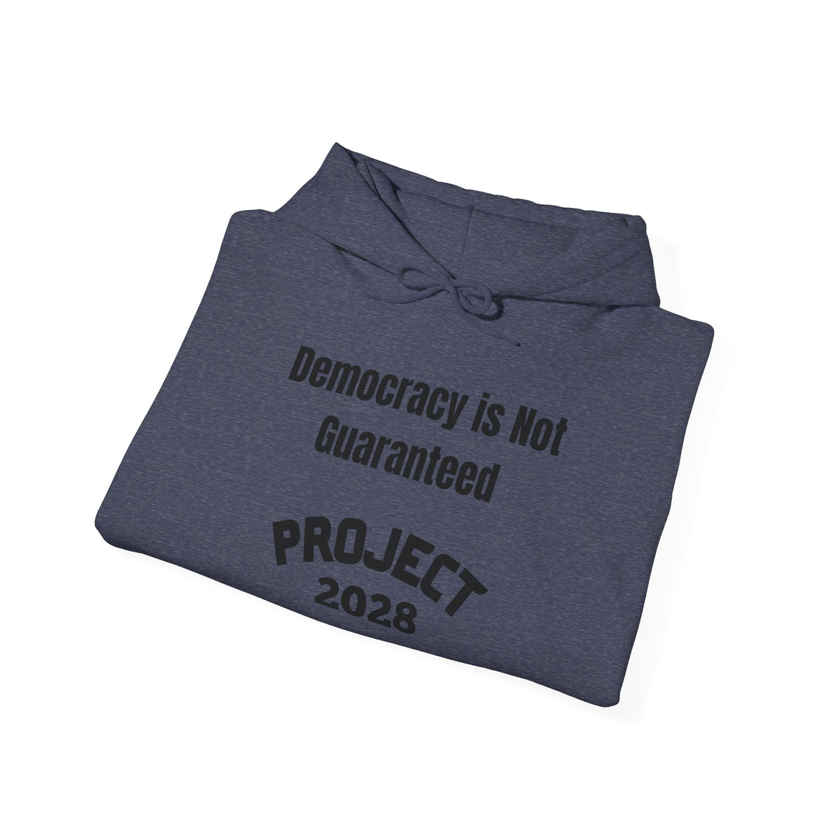 Copy of Project 2028 hoodie | Democracy | Social Awareness