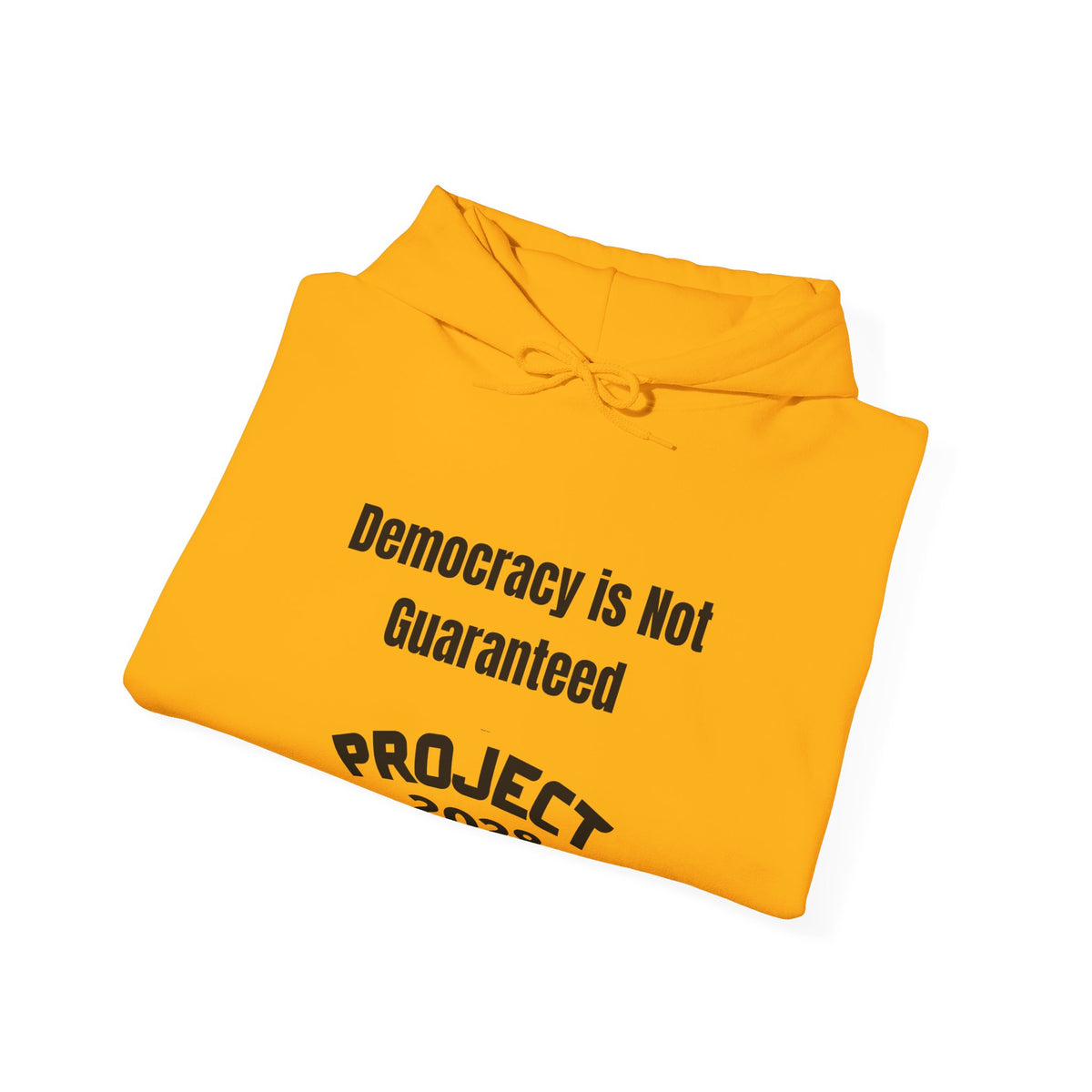 Democracy Isn't Automatic hoodie | Project 2028 slogan hoodie