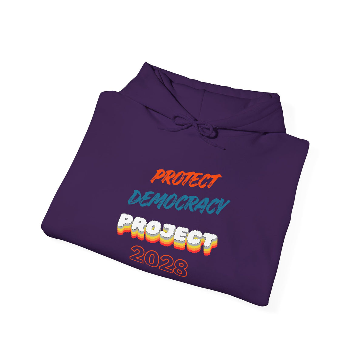 Protect Democracy Project 2028 Hoodie | Social Awareness