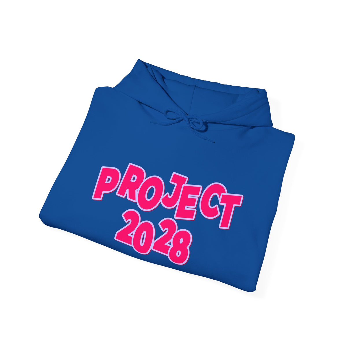 Project 2028 Hoodie | Democracy | Civic Duty