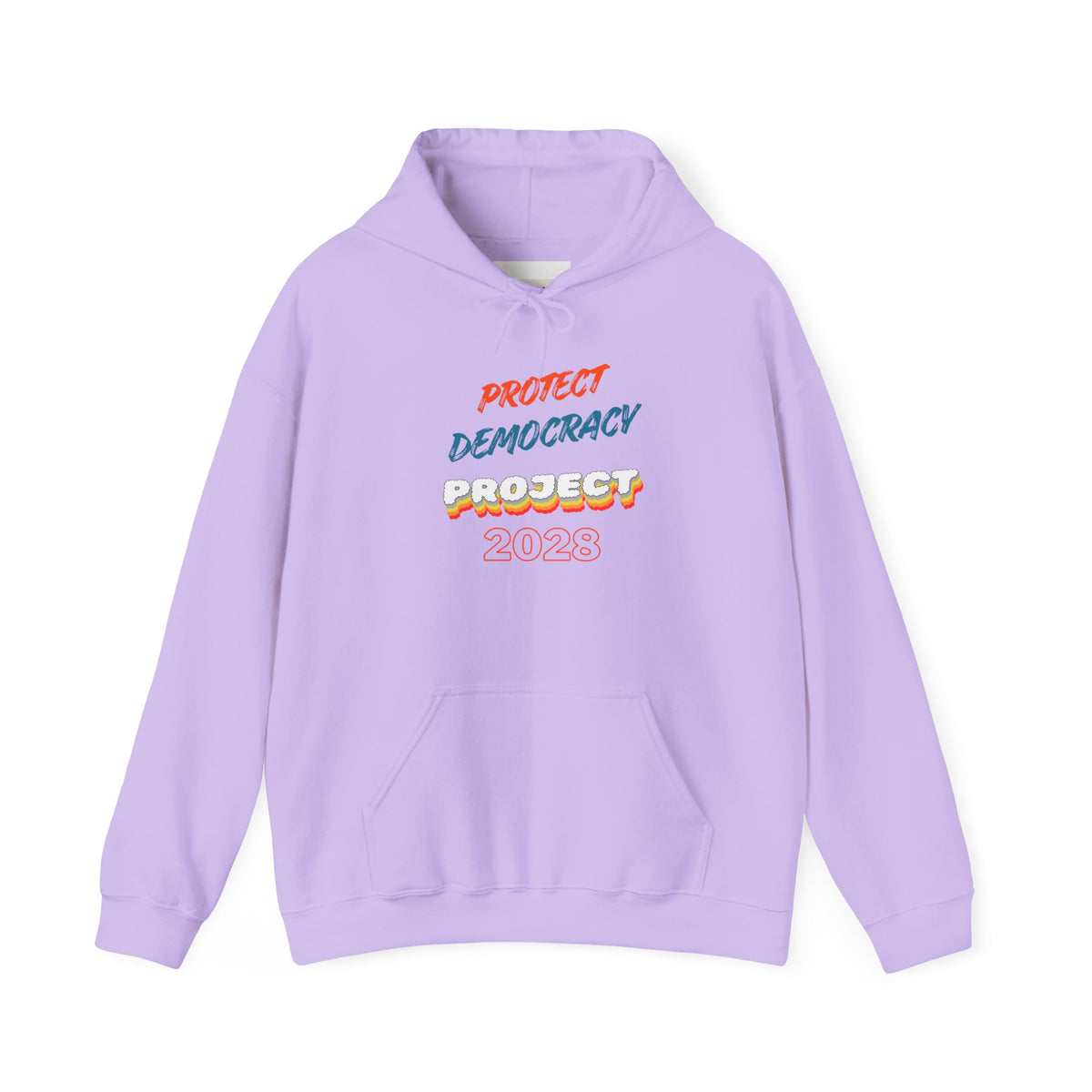 Protect Democracy Project 2028 Hoodie | Social Awareness