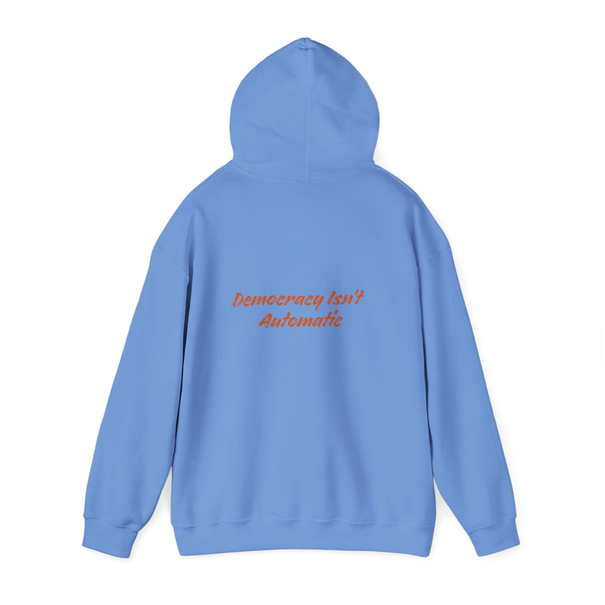 Project 2028 Hoodie | Democracy | Social Justice Message