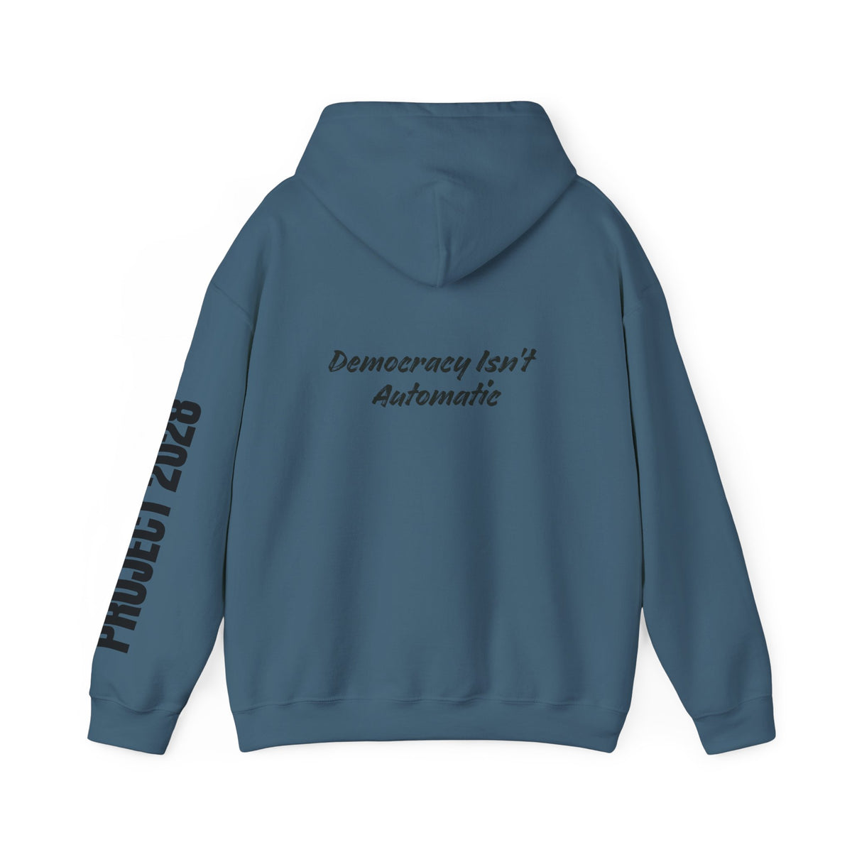 Protect Democracy Project 2028 Hoodie | Social Awareness