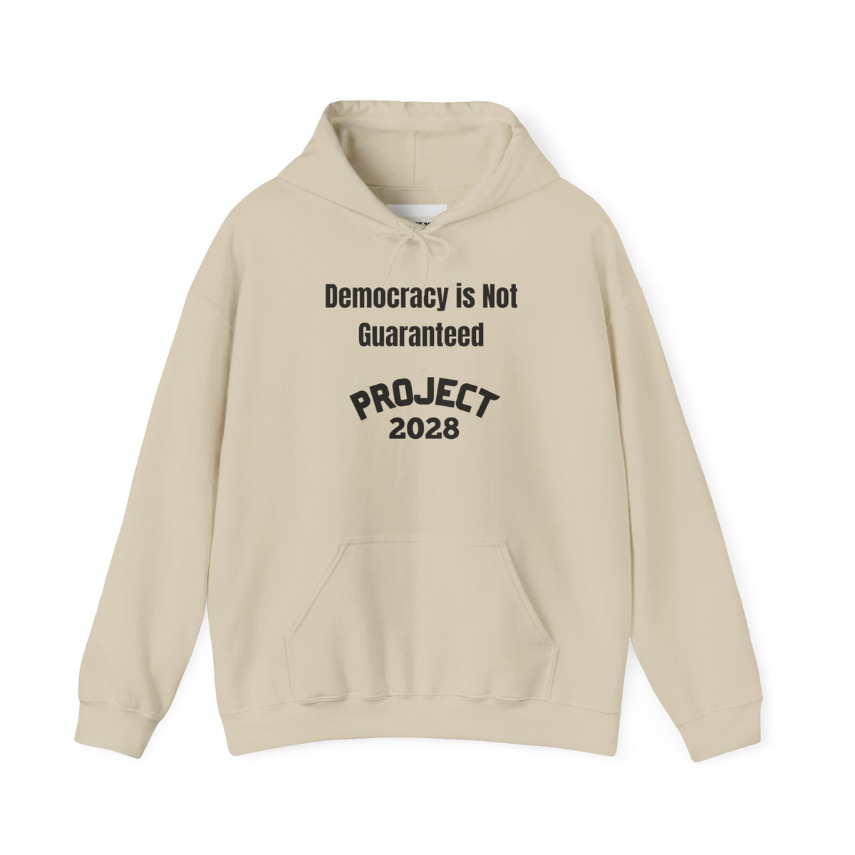 Copy of Project 2028 hoodie | Democracy | Social Awareness