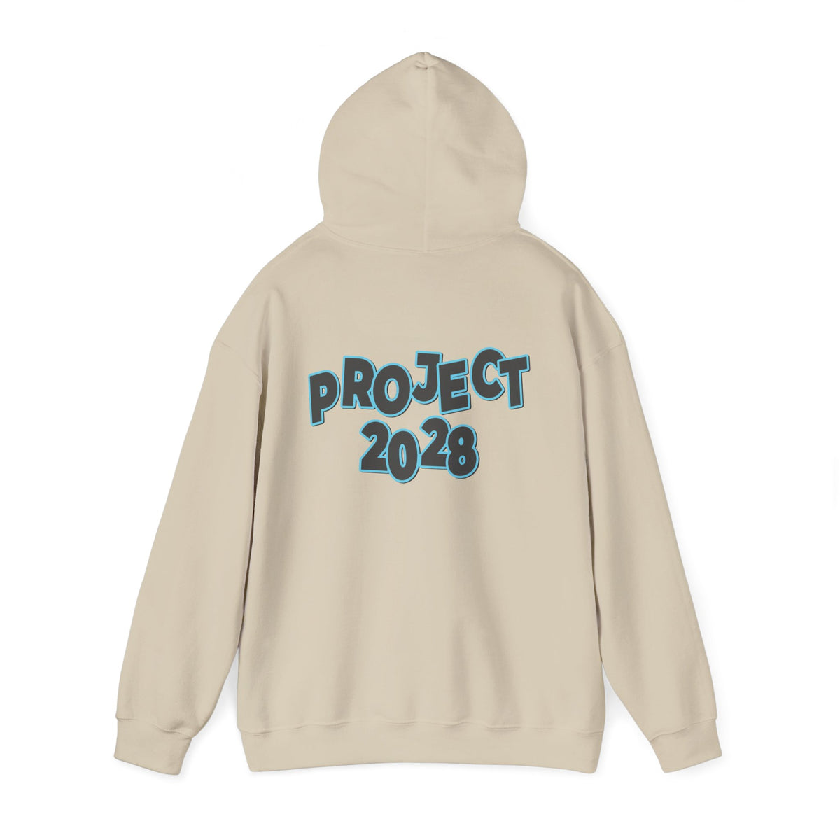 Project 2028 Hoodie | Protect Democracy, Project 2028 design