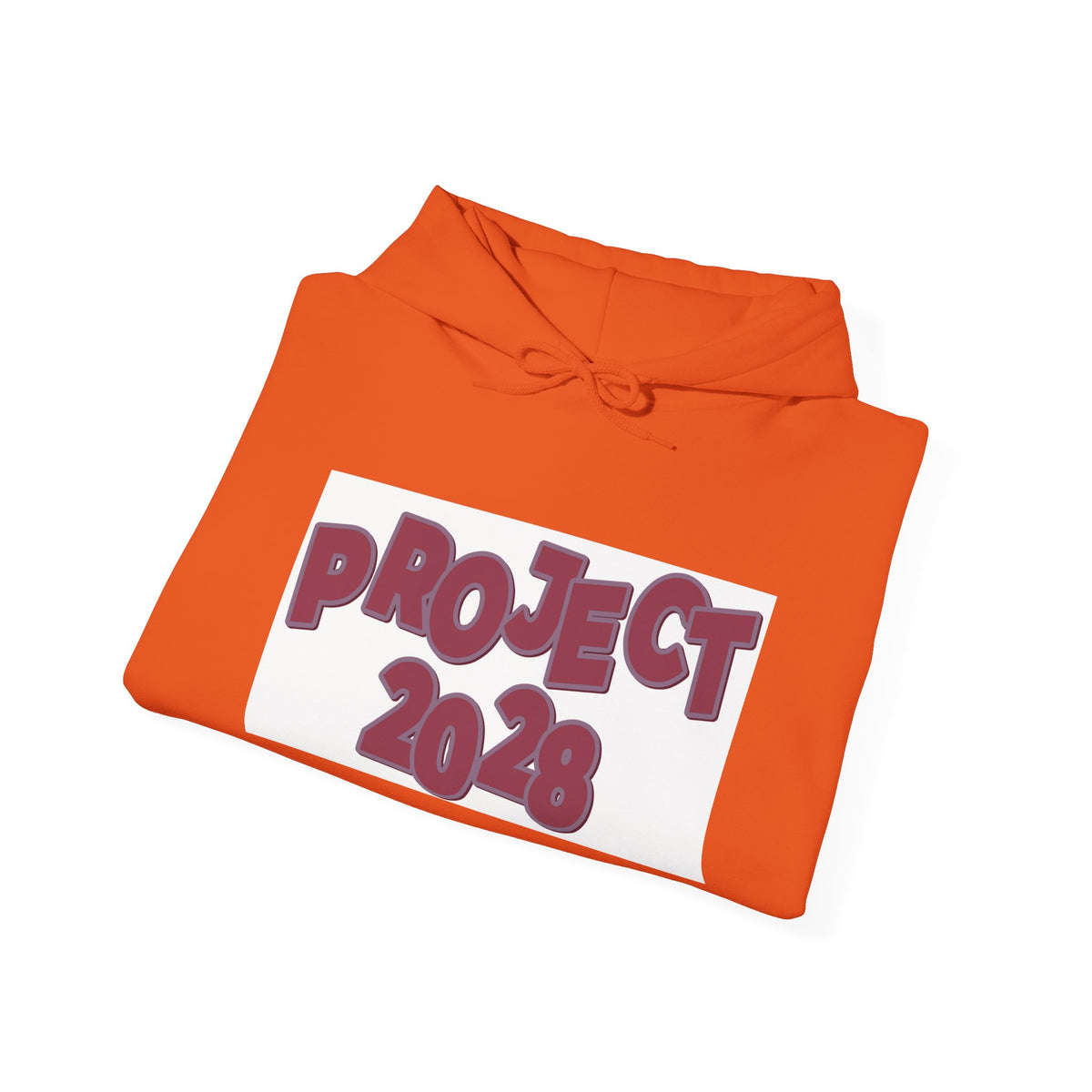 Project 2028 hoodie | Democracy Isn't Automatic back print