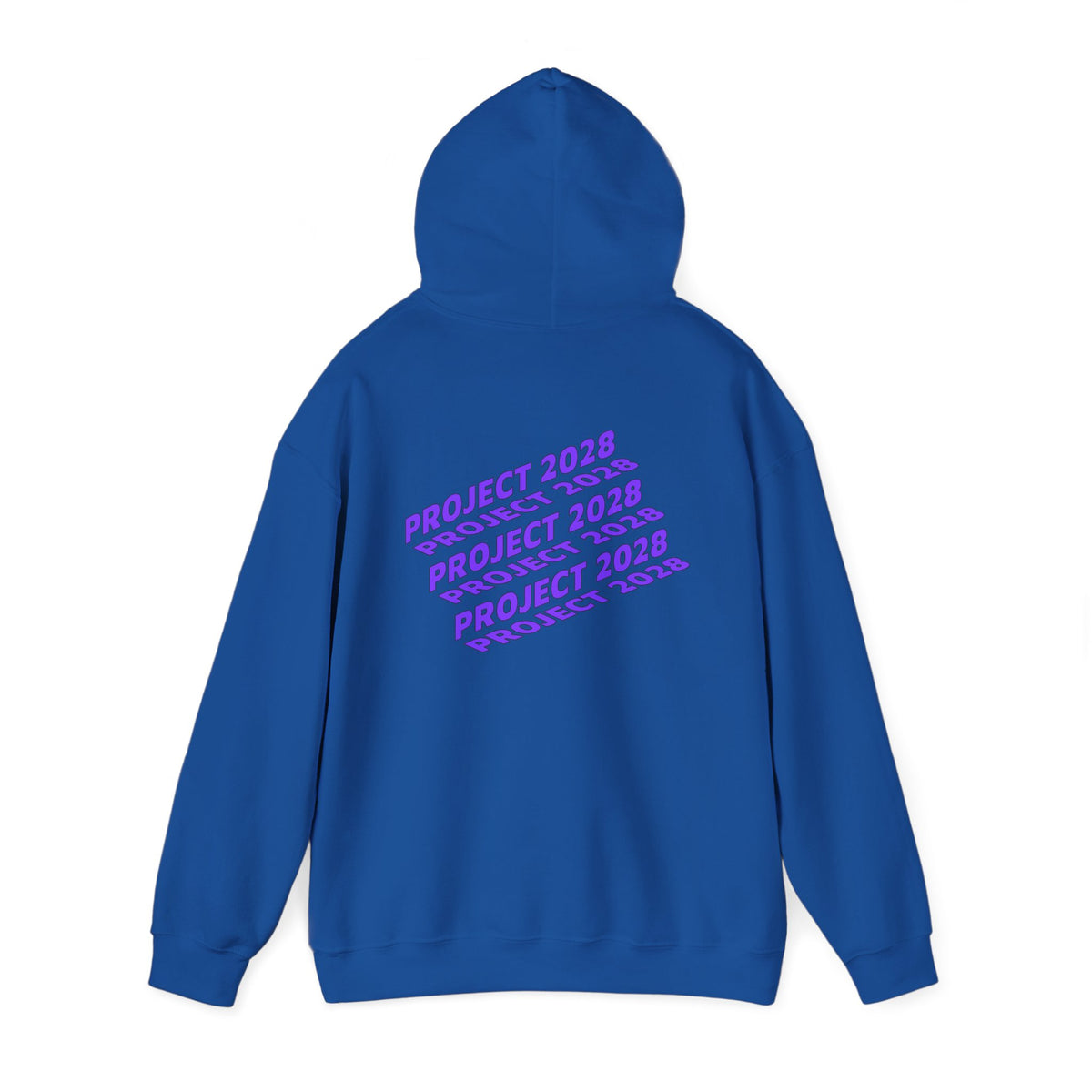 Project 2028 Hoodie | Social Justice