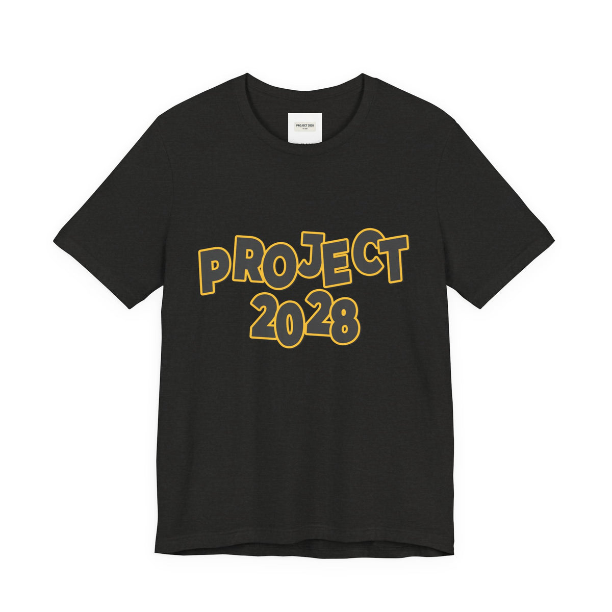 Project 2028 Graphic Tee — "Spirit Airlines Is Gone. Democracy Could Be Next. Vote Blue." Political Statement T-Shirt - Make a Statement Without Saying a Word!